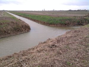 Drainage ditches mark out field boundaries