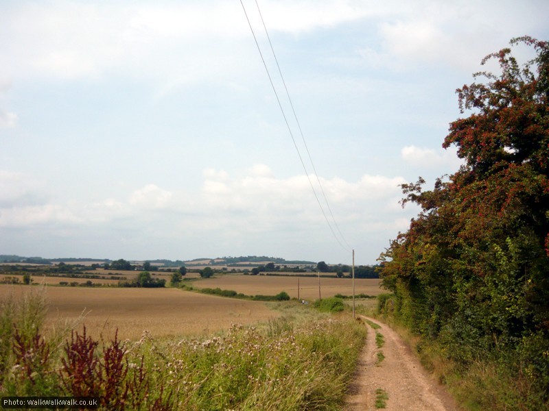 The field-edge path snakes away to Oughton Head