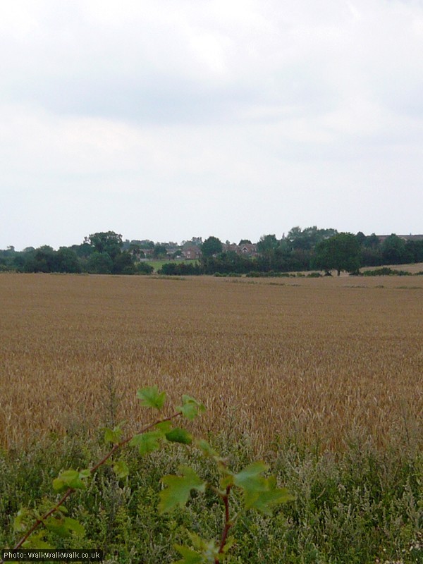 Looking over the fields at the Westmill estate