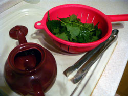 Nettles washed and ready for the teapot