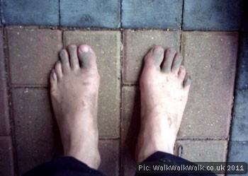 Muddy feet on a brick surface